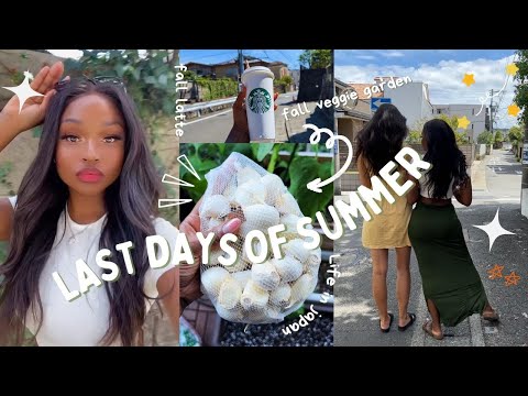 END OF SUMMER JAPAN VLOG New Cafes Beaches Let's plant the fall veggie garden