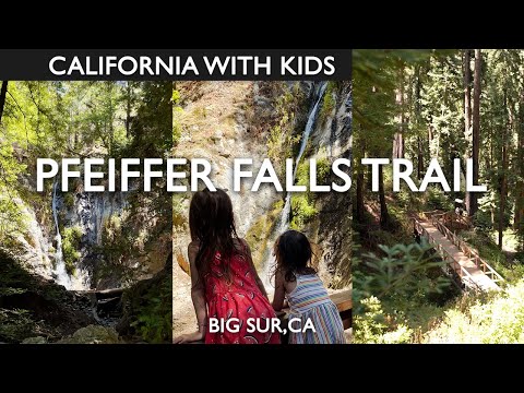 Hiking Big Sur's Pfeiffer Falls Trail With Kids