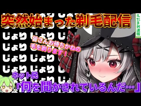 【ホロライブ】沙花叉クロヱが配信中に毛を剃り始めて視聴者を困惑させてしまうｗｗ【ずんだもん解説】