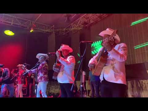 Mi Retrato - Armadillos de la sierra ft. Bertin y Lalo ( EN VIVO )