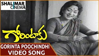 Gorintaku Movie || Gorinta Poochindhi Video Song || Shobhan Babu, Sujatha || Shalimarcinema