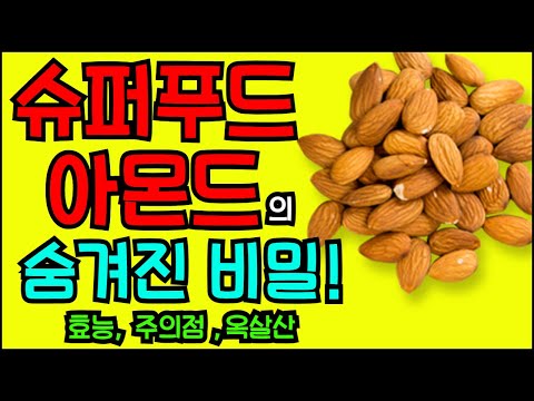 슈퍼푸드 아몬드의 숨겨진 비밀! (효능, 주의점, 옥살산)