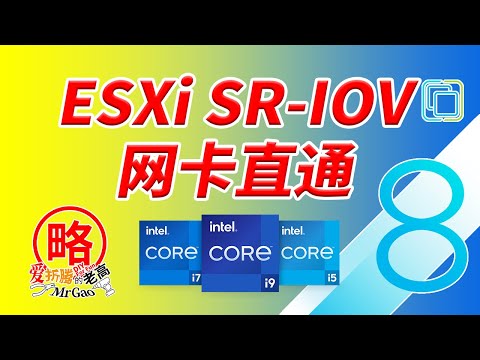 [老高分享]ESXi下SRIOV网卡直通 附送Intel 12/13/14代CPU安装ESXi的方法 更合理更高效的网络拓扑结构分享