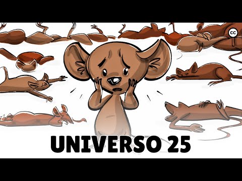 The Universe 25 Experiment [All the Mice Died]