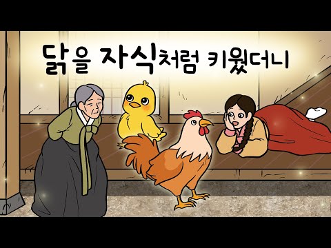 #189 닭을 자식처럼 키웠더니 ( 품삯과 받아 온 병아리 한 마리가 해낸 엄청난 일. 주인을 향한 충정심 ) 민담, 설화, 지혜이야기, 옛날이야기, 달빛 이야기 극장, 인기동화