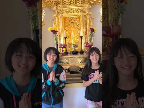 【ハワイ生活】Haleiwa Jodo Mission Buddhist Temple in Hawaii　ハワイの浄土宗寺院、ハレイワ浄土院へようこそ。#shorts