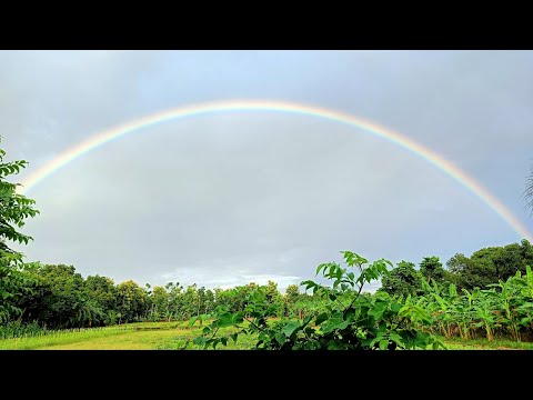 ১স্ট টাইম মিনি ব্লগ বানালাম , তাও আবার গার্লফ্রেন্ড নিয়ে😬