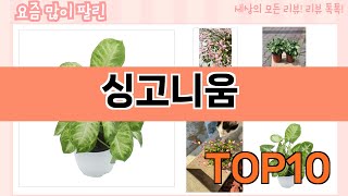 가장 많이 팔린 싱고니움 추천 Top10!