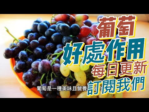 EP 183 葡萄（Grapes）的好處與作用