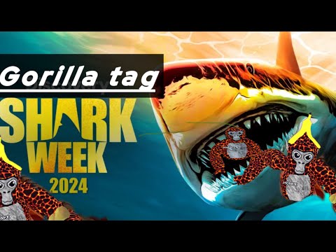 Gorilla tag shark week update!!