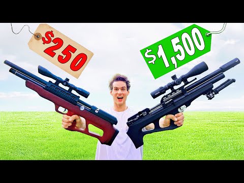 Cheap Vs Expensive PCP Air Rifle!