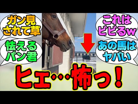 パンサラッサ「あの…やばい馬いるんすけど…」に対する競馬民の反応集