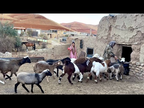 A 1000-Year-Old Village & The Story of Nomadic Women | Iranian Nomadic Woman’s Daily Routine