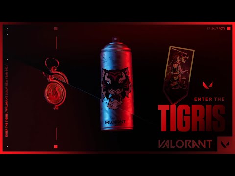 Enter the Tigris // VALORANT Skin Bundle Theme Music (Birdz - Wuki)