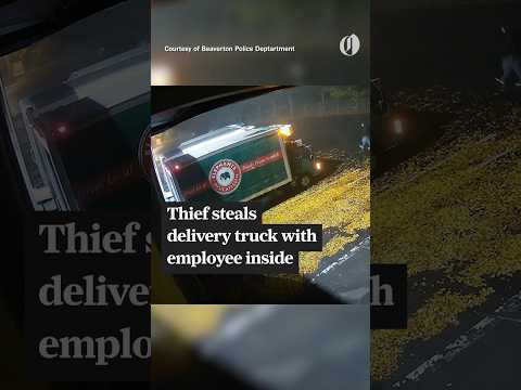 Thief steals Elephants delivery truck with employee inside