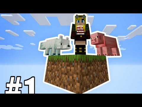 Minecraft one block video