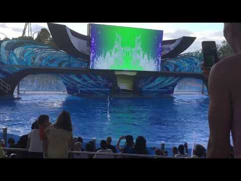 One Ocean SeaWorld Orlando 30th October 2019!!