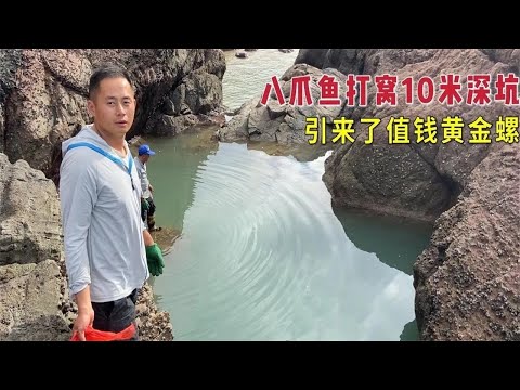 【阿向趕海】 3台戰機狂抽10公尺深坑 鯊魚聚窩連抓十幾條 200一斤黃金螺手到擒來