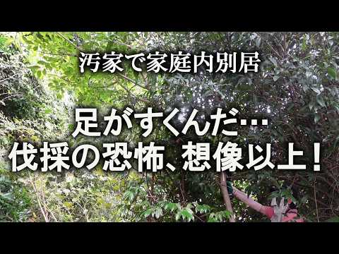 【片付け】自然の偉大さに圧倒！危険と隣り合わせの伐採作業｜汚部屋｜ズボラ主婦｜空き家｜庭仕事｜汚家｜剪定