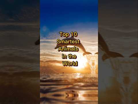 Top 10 Smartest Animals in the World | Most Intelligent Creatures on Earth