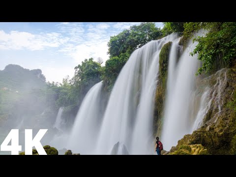 🔴 Relaxing Music Waterfall River In Nature - Water and Birds Relaxing Music (Nature Quest)