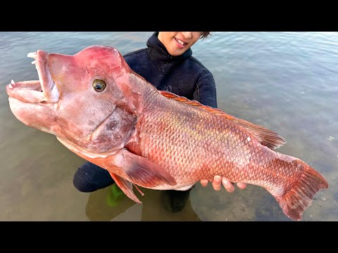 海水浴場にいたモンスターを食べてみると…