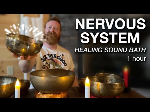 Parasympathetic Nervous System Healing Music | Tibetan Bowl Sound Bath