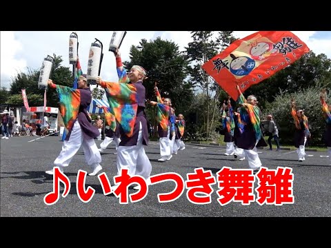 【高画質・高音質】埼玉県の夏まつり演舞一押し❕　🌈いわつき舞雛　はすだ市民まつり