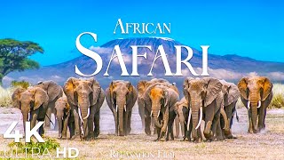 African Safari 4K • Wildlife Relaxation Film | Animals Video Ultra HD