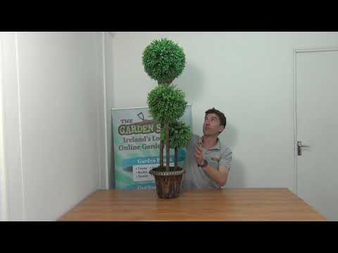 4ft Artificial Boxwood Tree (Triple Stem)