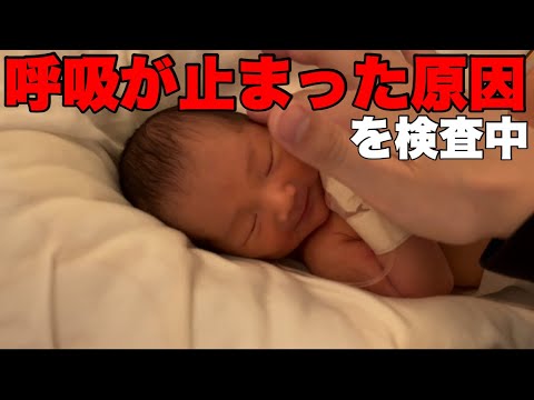 【生後2日】新生児、無呼吸発作、呼吸が止まった原因を検査中/乳幼児突然死症候群