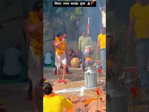 आज मंदिर में सेवक करत पुकार हे जननी 🙏🏻 | विराट भगत कराहा पूजा 🚩 | baba kashidas karaha puja #shorts