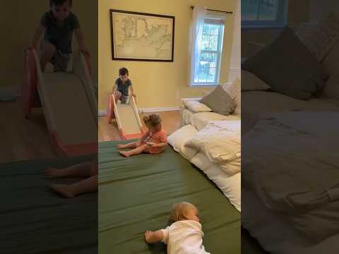 Maxyoyo make the perfect spot for playtime#video #shorts #home