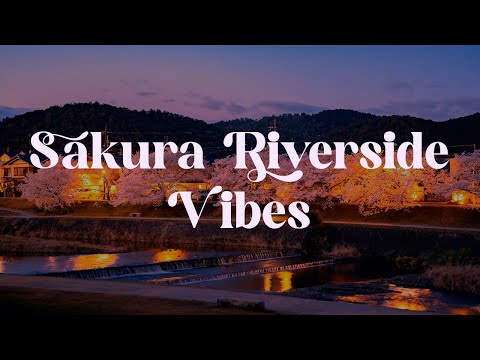 Sakura Riverside Vibes 🌸 Japanese Lofi Mix for Calm & Focus