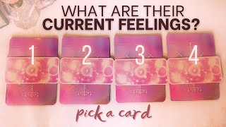 💕 WHAT ARE THEIR CURRENT FEELINGS FOR YOU? | PICK A CARD | Timeless Intuitive Tarot Reading