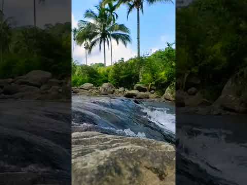 Relieve stress with relaxing sound of flowing water #nature #soothingsound #relaxing #riverwater