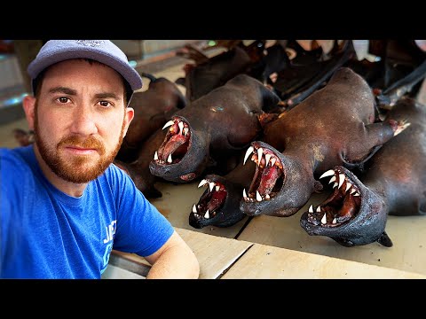 World's Most SHOCKING Meat Market (Dogs, Cast, Bats)