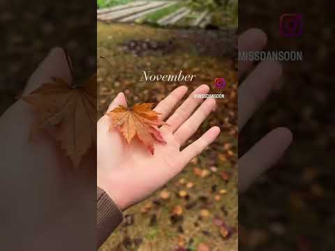 숲속작은집 11월호🍂