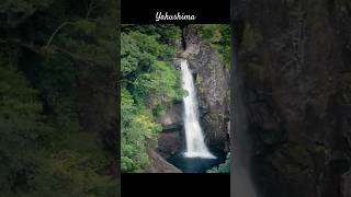 Yakushima an island of rain. Raining more per day than a year in London or Seattle. #yakushima