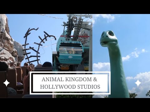 Disney World, Animal Kingdom and Hollywood Studios Vlog