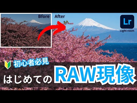 【カメラ初心者】はじめてのRAW現像