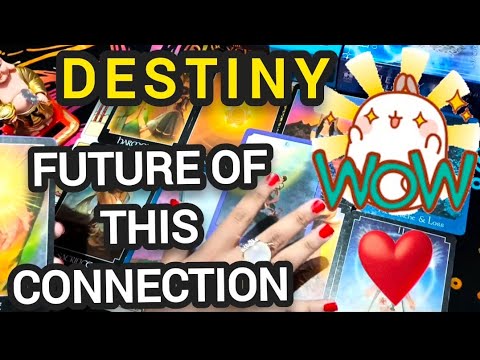 No contact or not ✨Future of this connection for you ✨🥺|hindi/english tarot ✨| timeless reading 💜🌹💯🌼