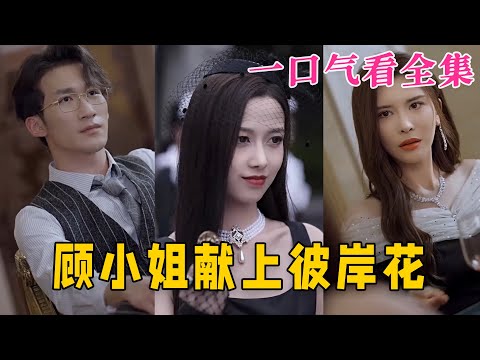 【大結局完整版】《顧小姐獻上彼岸花》第1~69全集#都市 #总裁 #霸总 #逆袭  #复仇  #爱情 #短剧 #drama #shorts #shortvideo #movie #九州快看