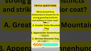 Can You Solve This DOG TRIVIA? 🐶 | Test Your Knowledge! #shorts  #puzzlechallenge #facts #quiz