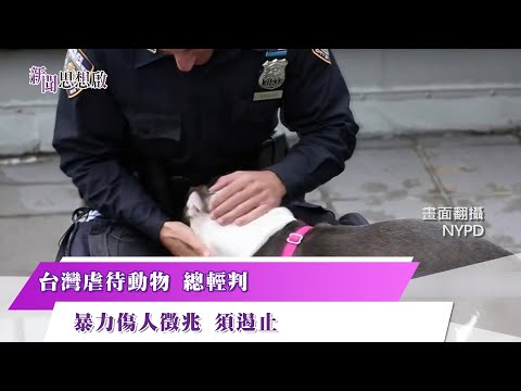 《新聞思想啟》 第135集-Part3 台灣虐待動物 總輕判 暴力傷人徵兆 須遏止