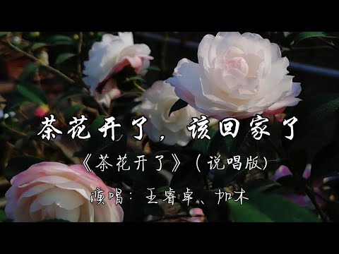 王睿卓、加木 - 茶花开了，该回家了 《茶花开了》（说唱版）『思念的人住在弯月亮，曾经奶奶说最亮的那一颗 是这一辈子最爱我的人变得。』『动态歌词MV』