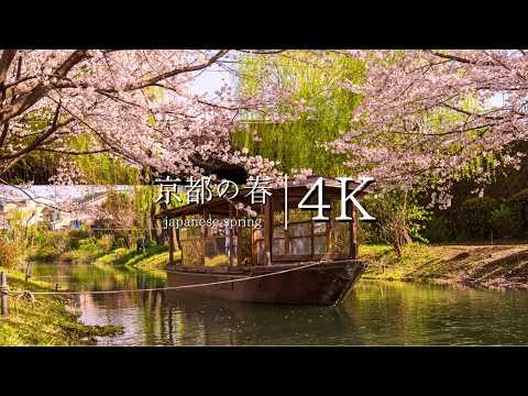 Top 20 Breathtaking Spring Views in Kyoto You Must Visit - JAPAN in 4K