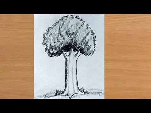 How to Draw a Tree Sketch Easy |  The Best Tree Drawing Ever Drawn For Beginners