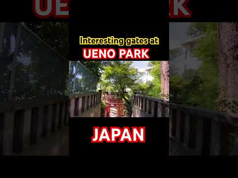 Interesting Park at Ueno. #japantravel #shorts #travelvlog