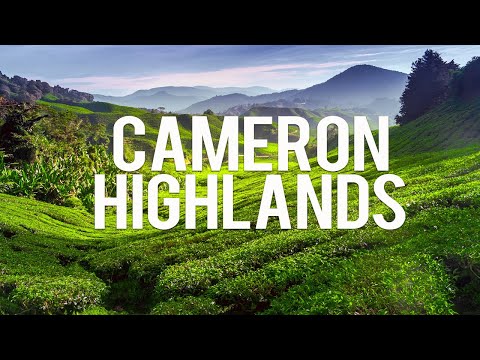 Cameron Highlands Malaysia: 10 Best Things to do in the Cameron Highlands Malaysia